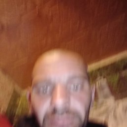, 37, 