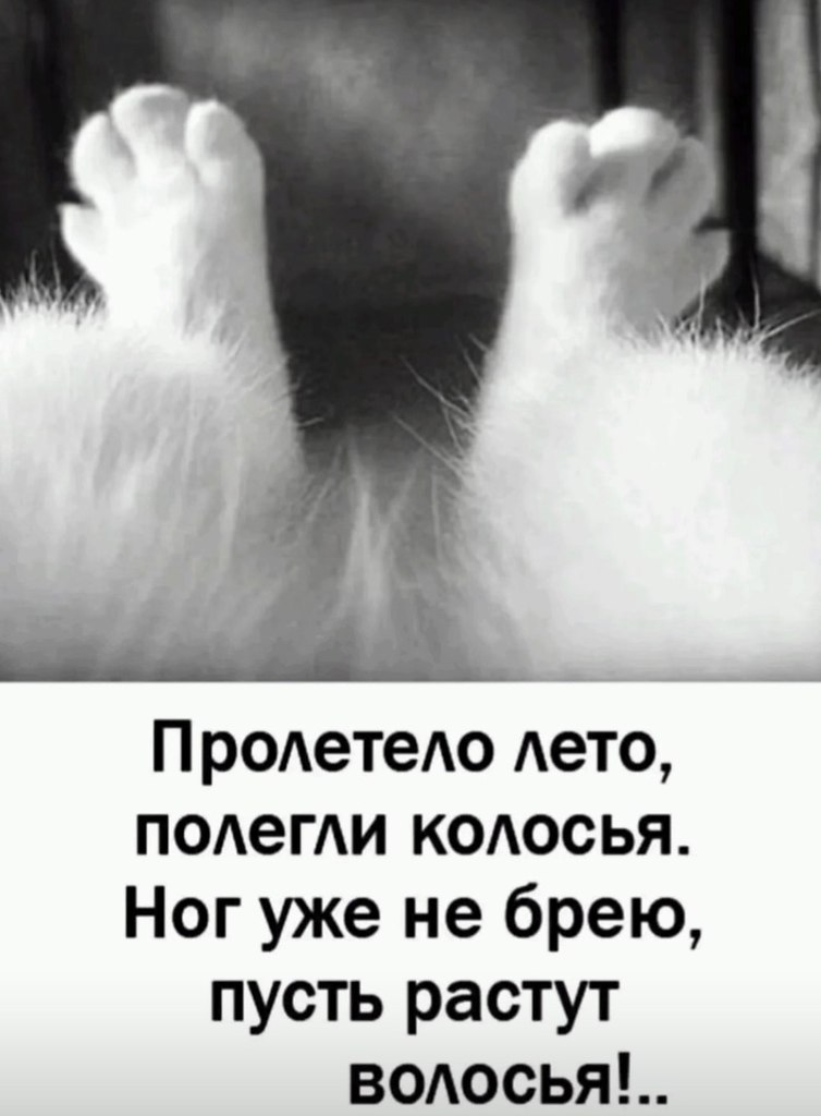  - 18  2025  00:01