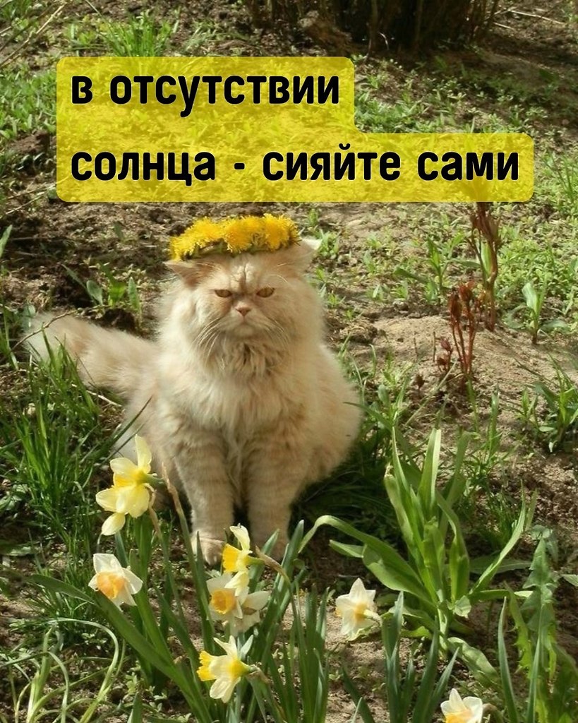   - 7  2025  05:42