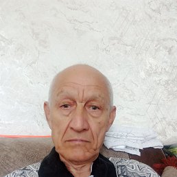 , 65, 