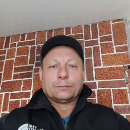 , 50, 
