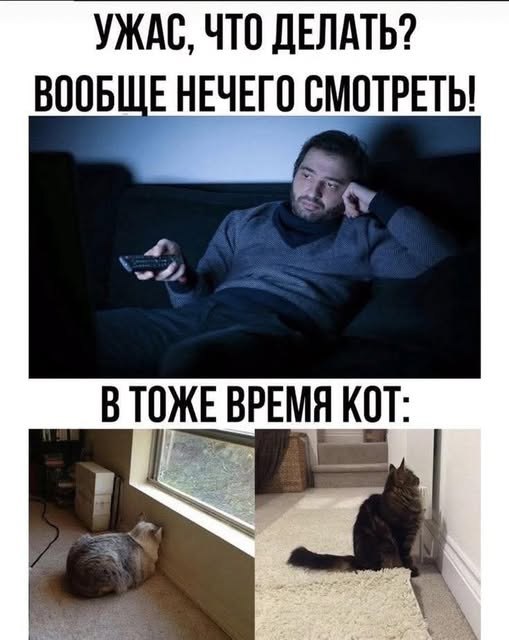   - 20  2025  02:39