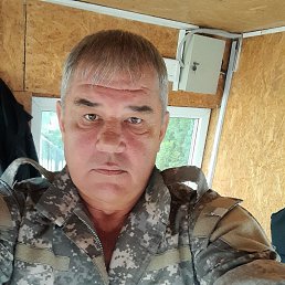 , 56, 