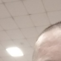 ������, ������, 42 ����