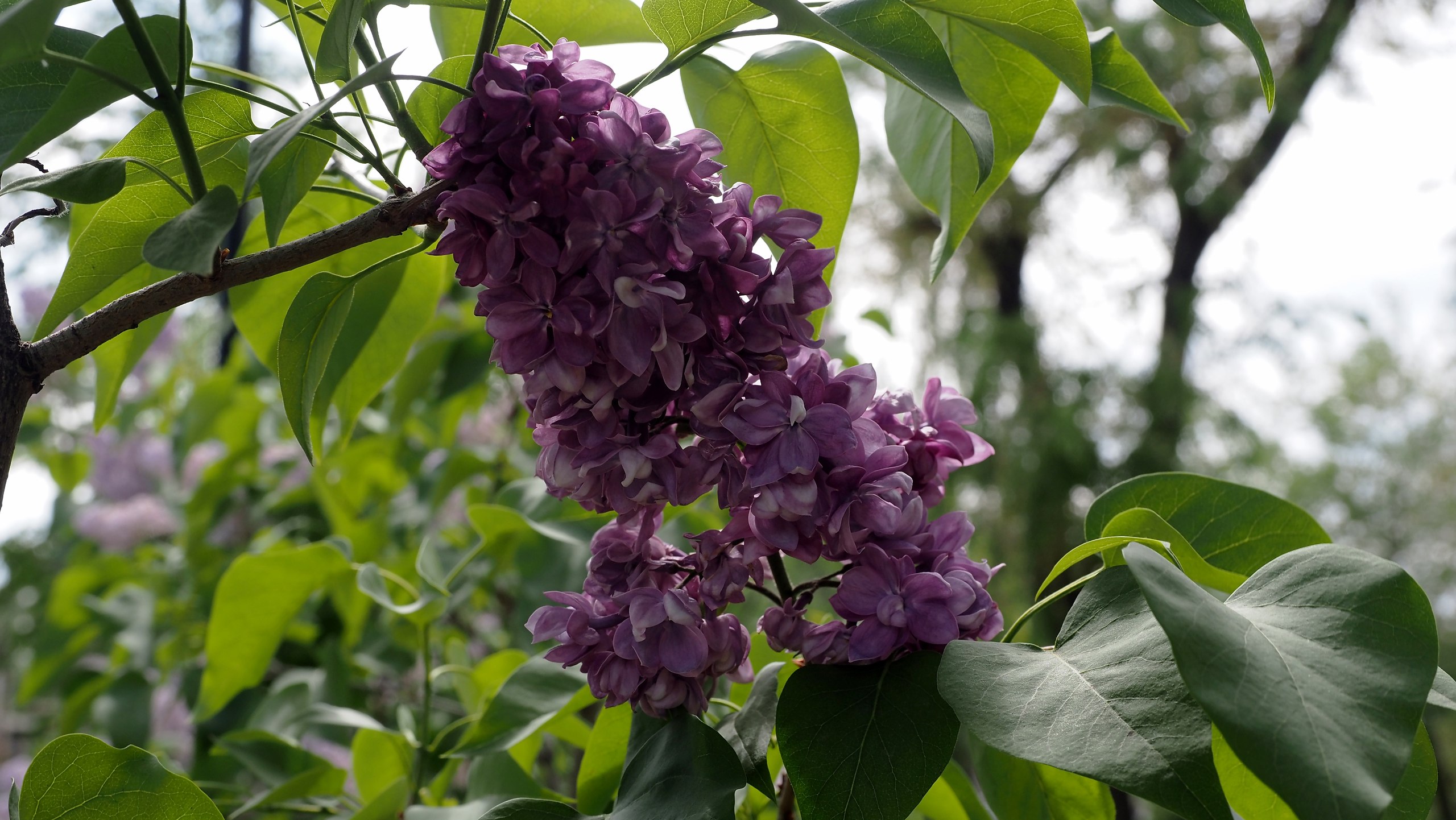 , ,  ,      .    ,  ,   ... - 8