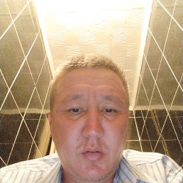 , 39, 