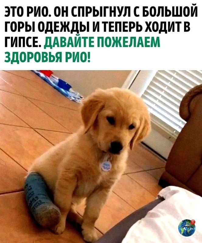 o, opo ee