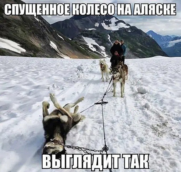 �� ����� - ������������� ������ �1 - 3 ������ 2026 � 04:50