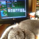 ���� ����..., ������ - ��������� 13 ������ 2025 � ������ ������ ��������