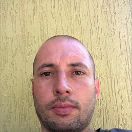 , 41, 