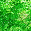 ���� Raed, �����������, 38 ��� - ��������� 2 ������ 2023 � ������ ���� ����������