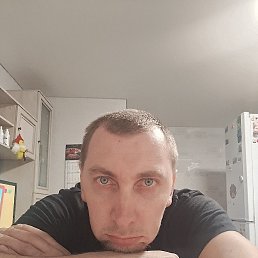 8, 33, 