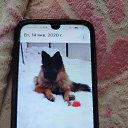  ,  , 60  -  25  2025