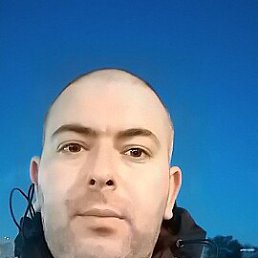 , 37, 
