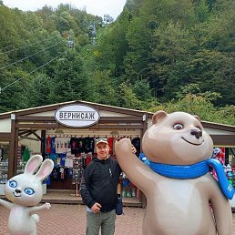 �����, 39 ���, ������ �����