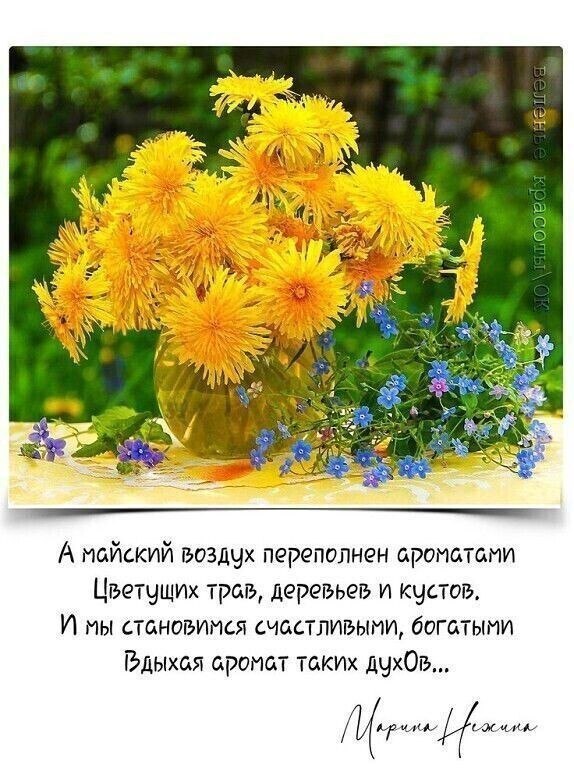 Zv   !!! V - 13  2025  12:27