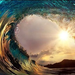 �������, ��������, 56 ���