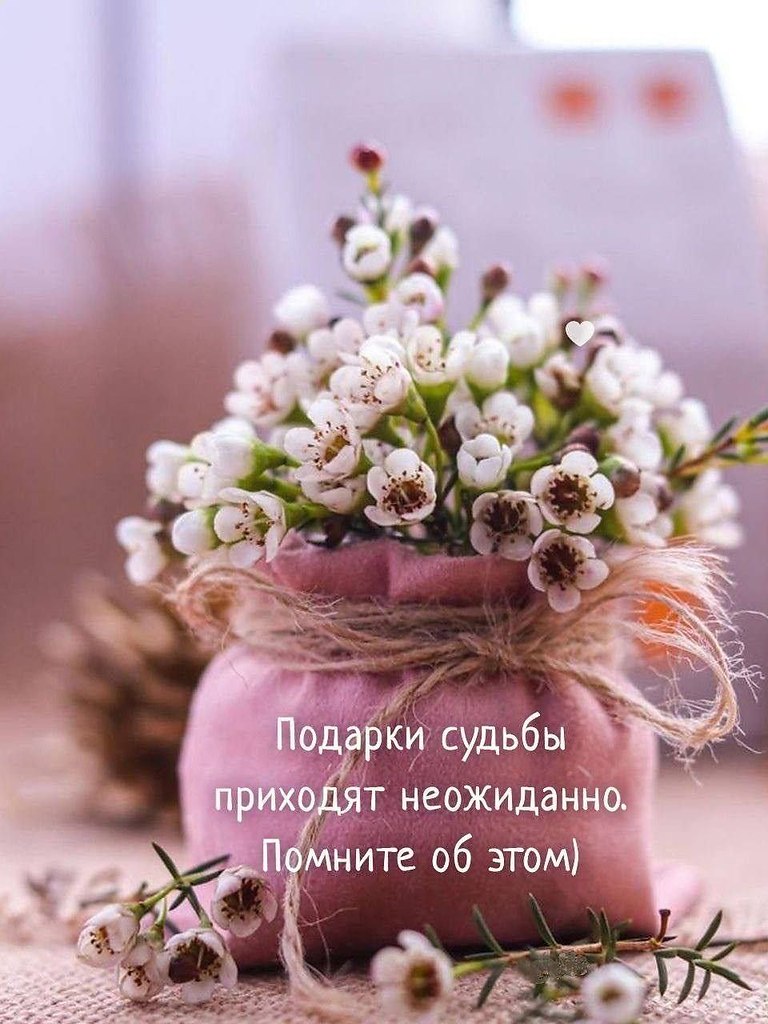   ,    . - 28  2025  16:02 - 2