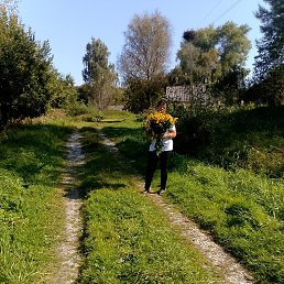 ������� �����, 40 ���, ������