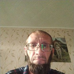 ��������, 49 ���, ���������