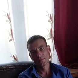 , 37, 