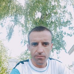 , 37, 