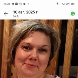 ���������, 43 ����, �������