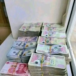 �����, �����������, 43 ����