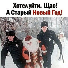 ����, ������, 37 ���