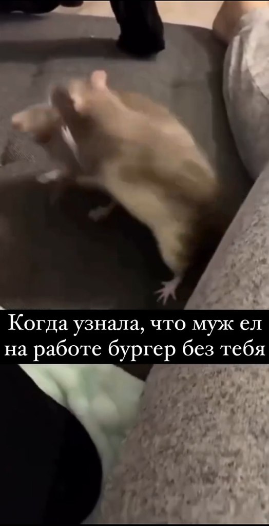     )).https://fotostrana.ru/away?to=/sl/Ext5 - 2
