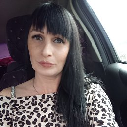 �����, 33 ����, ���������