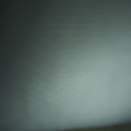 Raja, ������, 20 ���