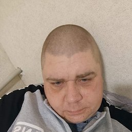 ���������, 39 ���, �������