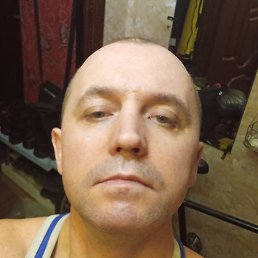 �����, �������, 43 ����