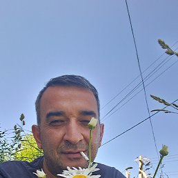 , 42, -