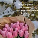 ���� ������, ������, 35 ��� - ��������� 18 ������� 2024 � ������ ���� ����������