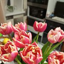 ���� ������, ������, 49 ��� - ��������� 12 ������ 2026 � ������ ���� ����������