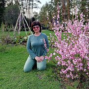 �������, , ��������