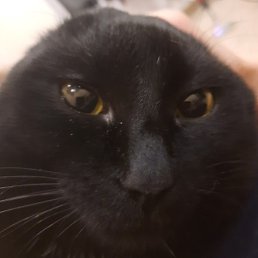 ������, ������, 80 ���