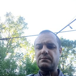 , 40, 