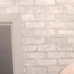 ���������, ����, 40 ���