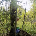 ���� ���������, ���� - ��������� 31 ������ 2025 � ������ ���� ����������