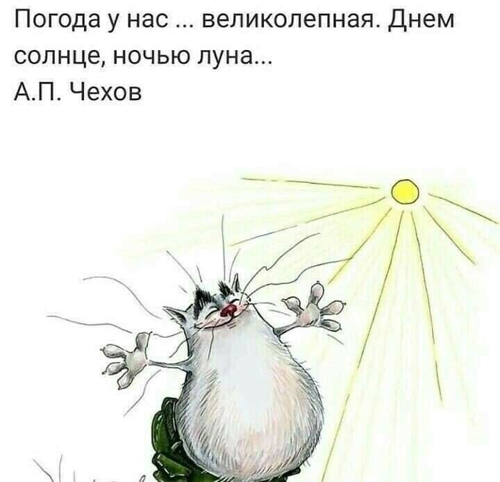 ���� - 28 ���� 2026 � 13:56