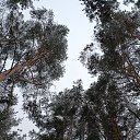  **, - -  7  2025    