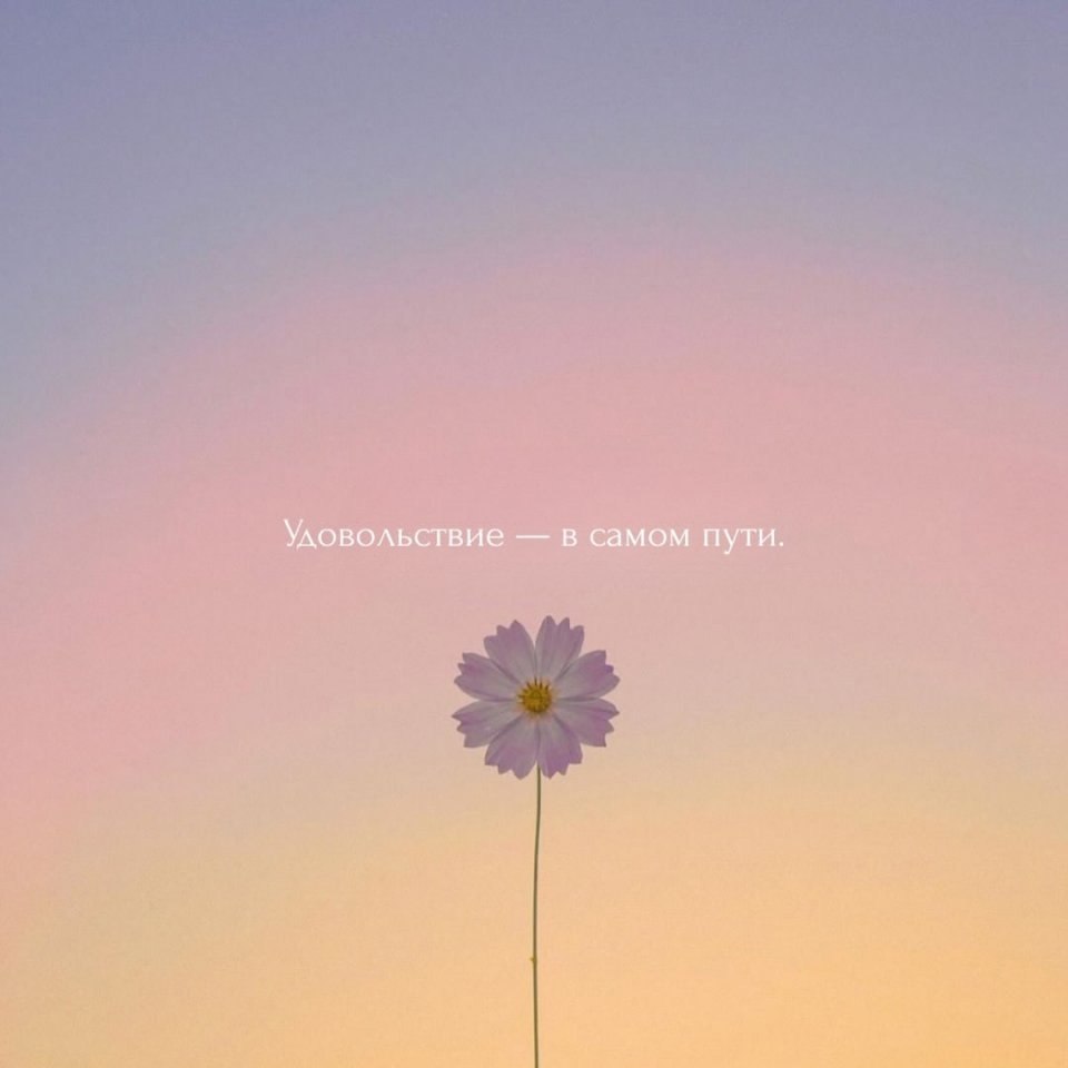 Коротко и по факту - 6