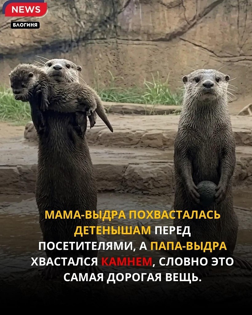 � �������� ���-����� ���������� �������� ���� ������� � ����������� �� ����� ������, ����� ��������� ...