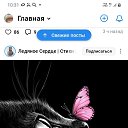 ���� �������, �����-���������, 43 ���� - ��������� 14 ��� 2026 � ������ ���� ����������