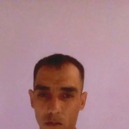 , 34, 