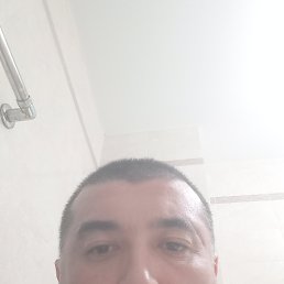 , 40, 