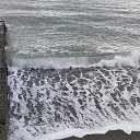���� �������, ������, 36 ��� - ��������� 12 ������ 2025 � ������ ���� ����������